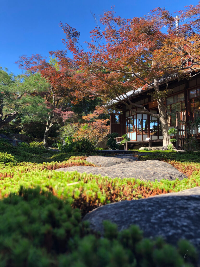 旧林家住宅　紅葉のおもてなし　2024