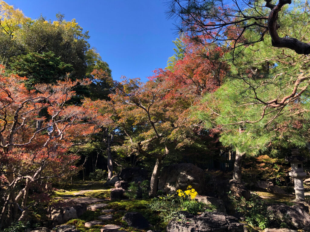 旧林家住宅　紅葉のおもてなし　2024