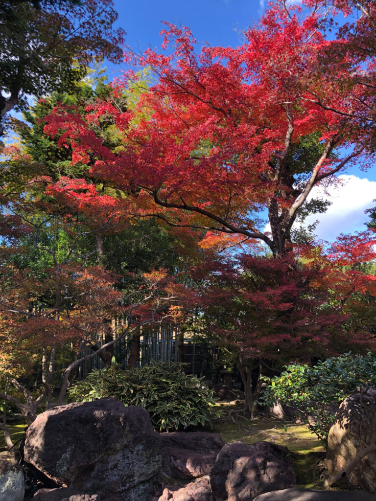 一宮市　紅葉　旧林家住宅