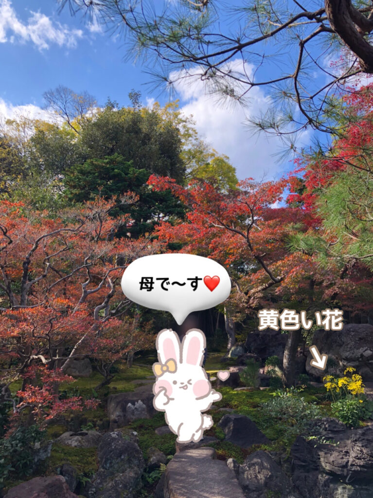 一宮市　紅葉　旧林家住宅