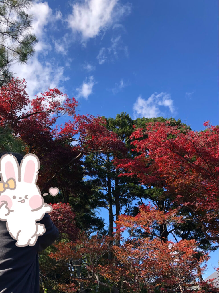 一宮市　紅葉　旧林家住宅