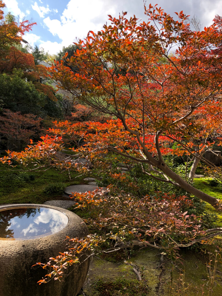 一宮市　紅葉　旧林家住宅